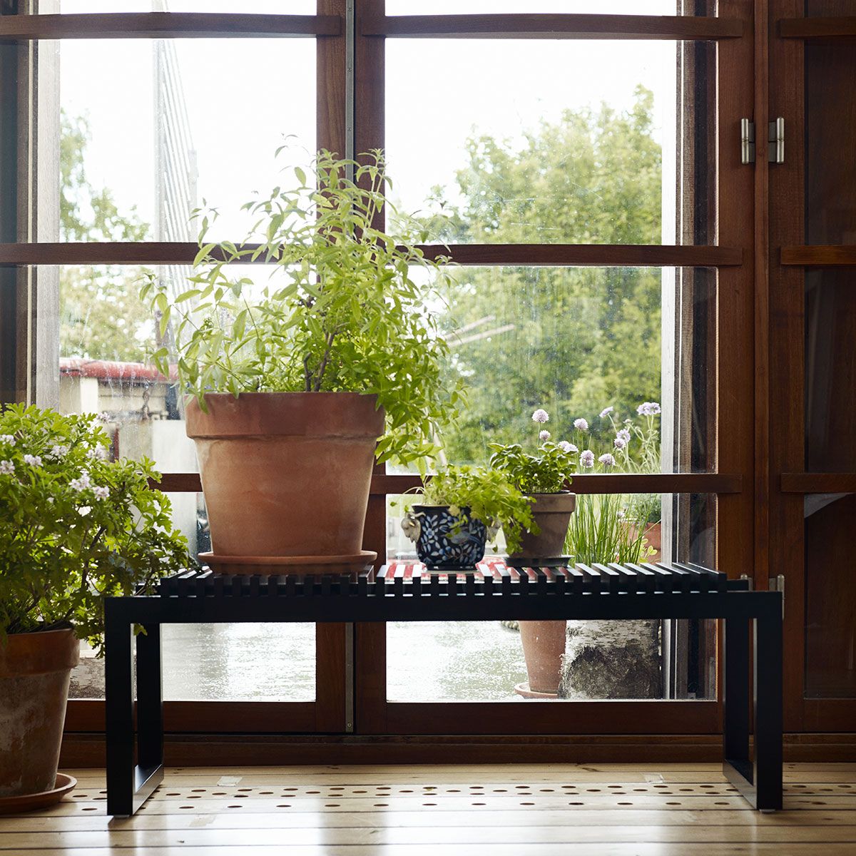 Cutter Bench 120 cm Svart eik