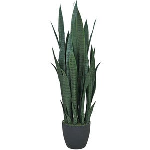 Sansevieria Potteplante 100 cm