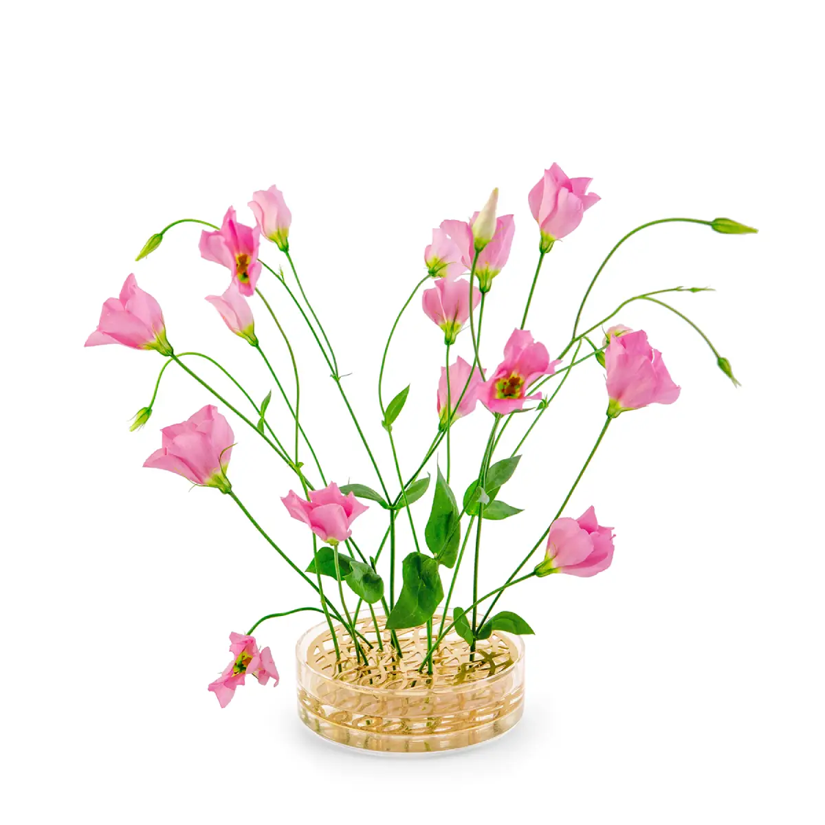 Äng Pond vase messing