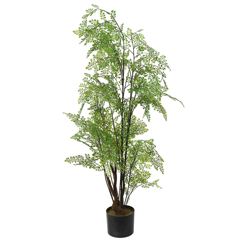 Adiantum Tre 100 cm