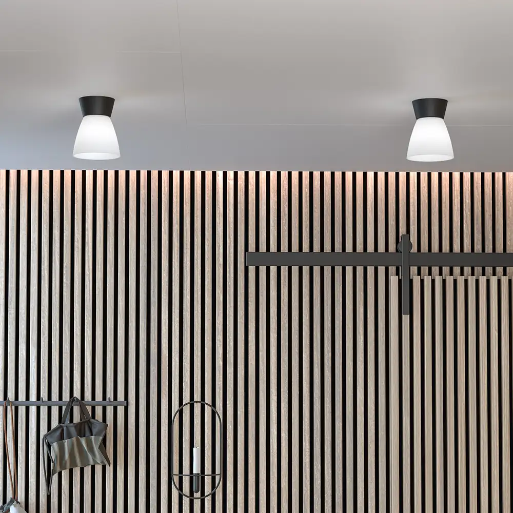 Bizzo tak D165 matt svart/opalglass E27