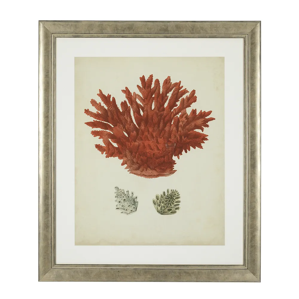 Print Antique Red Corals set of 6