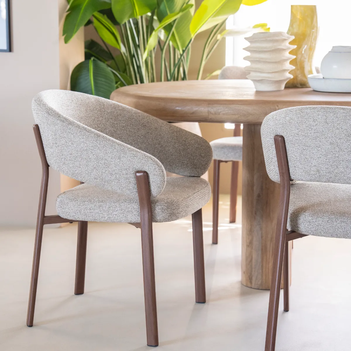 Spisestol Sedia Brown med armlener