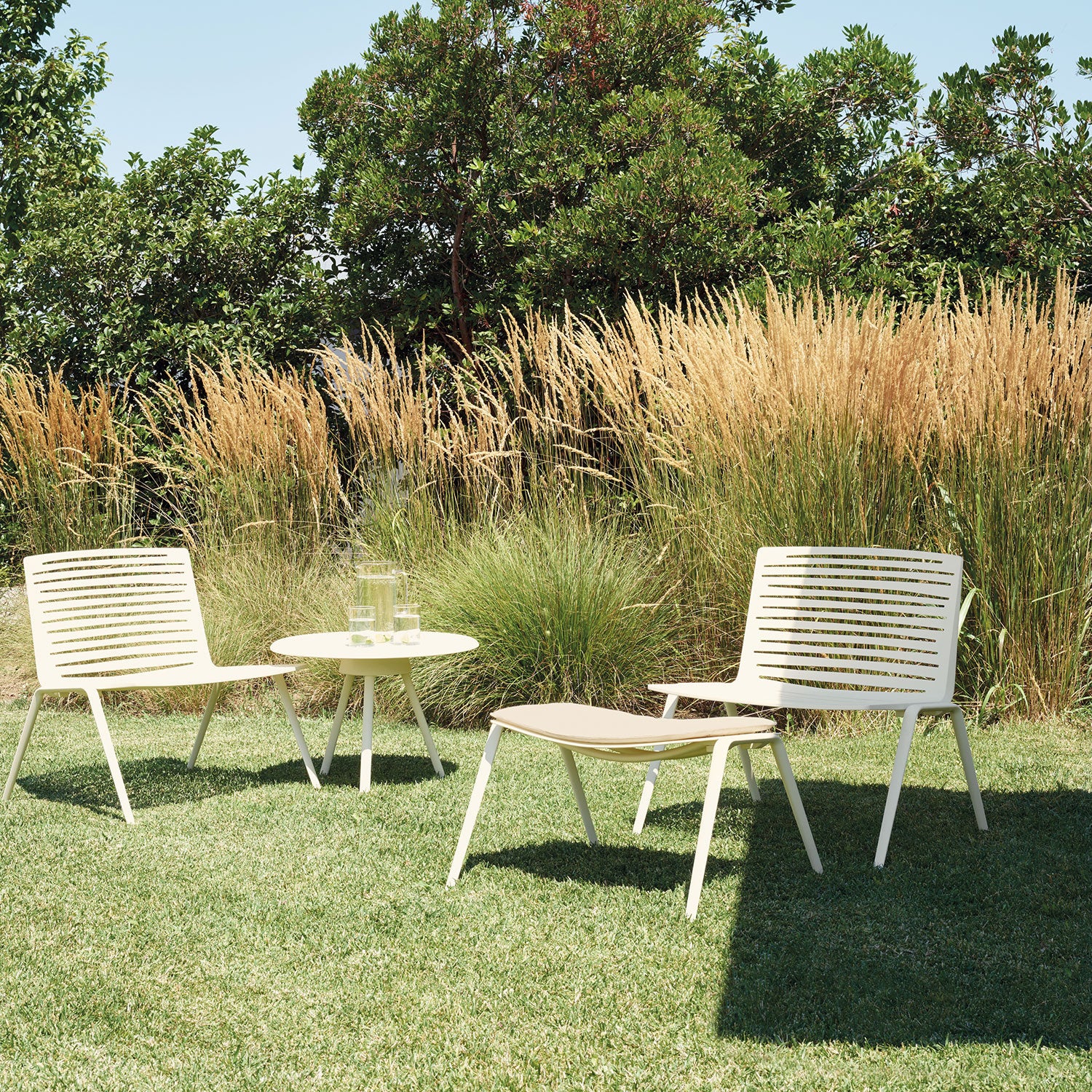 Zebra fotskammel Hvit