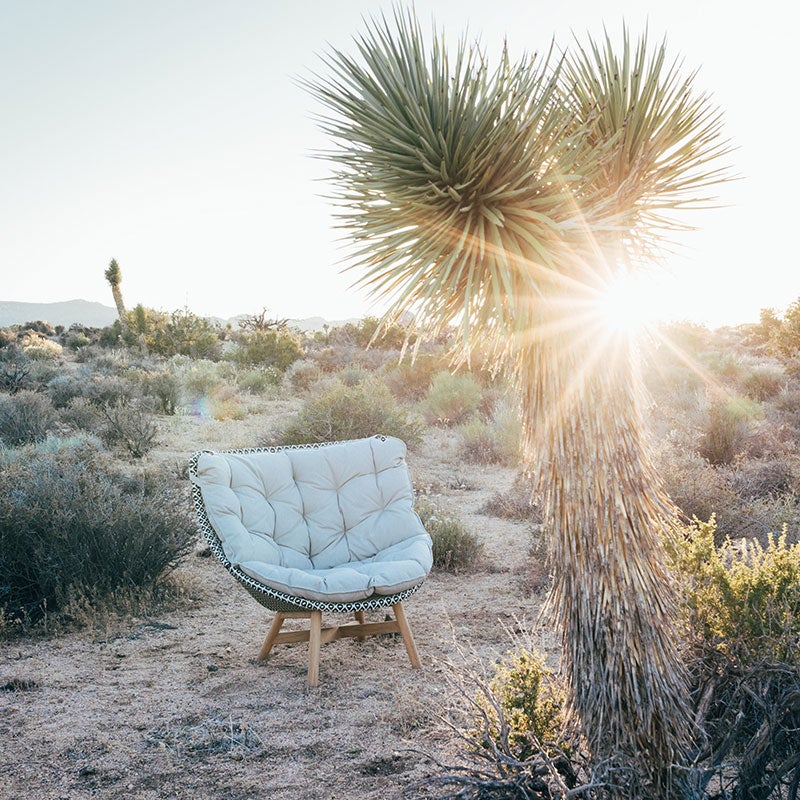 Mbrace lenestol høy CHESTNUT 