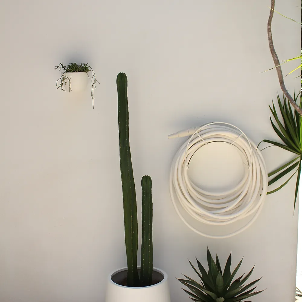 Slangeholder White Snake