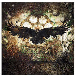 Veggdekor Raven 120 x 120 cm Artwood 