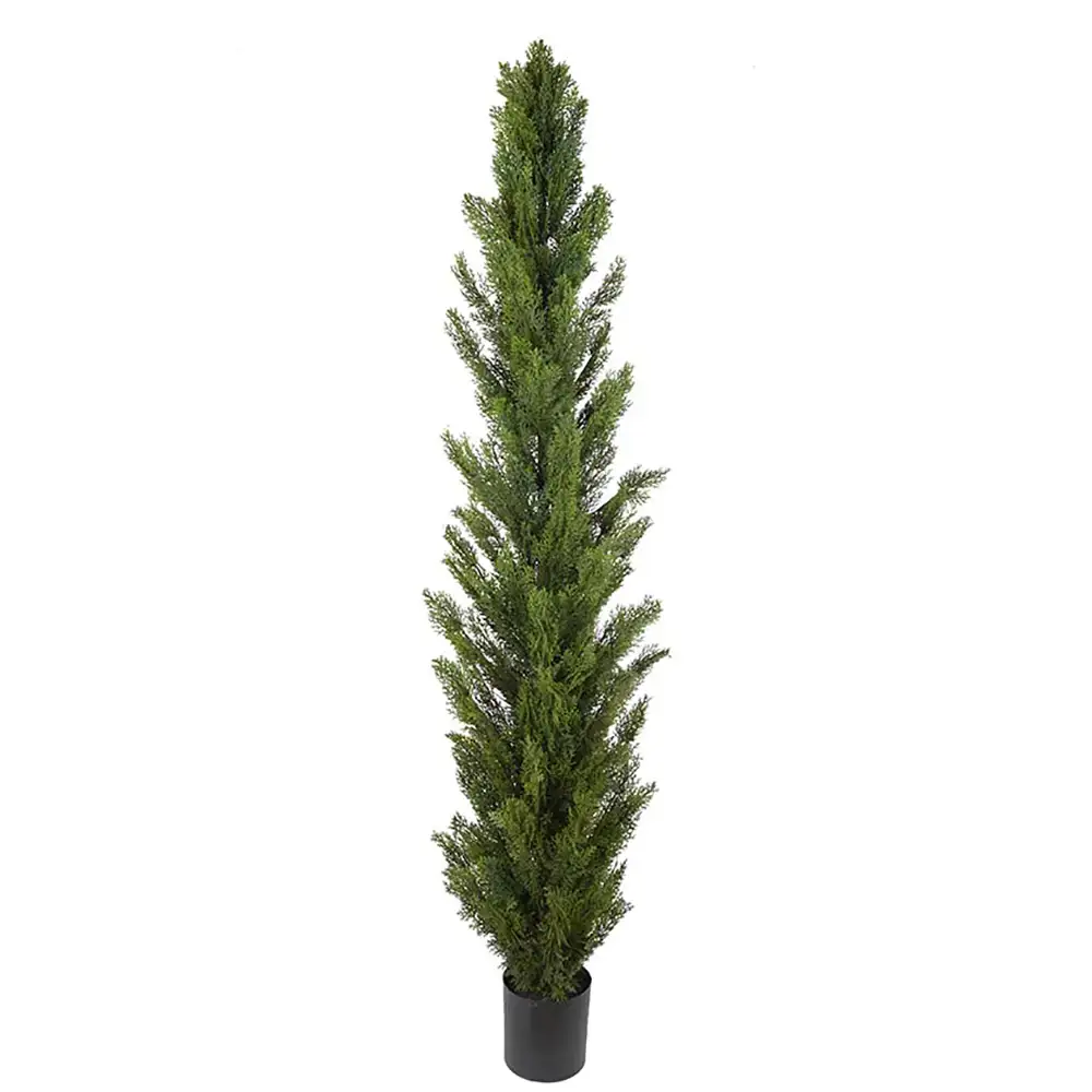 Cypress Tre 120 cm