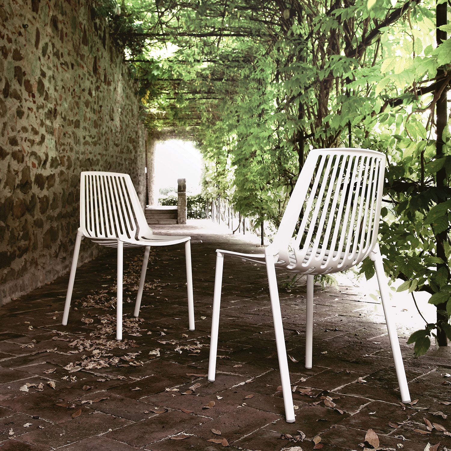 Rion spisestol Pearly Gold Fast