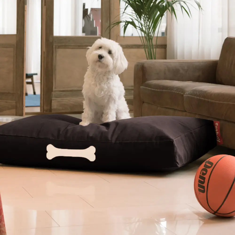 doggielounge L canvas Hundeseng recycled black licorice