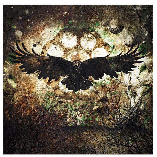 Veggdekor Raven 100 x 100 cm Artwood 