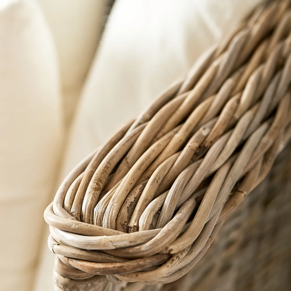  Kan Carlos hengesofa rotting