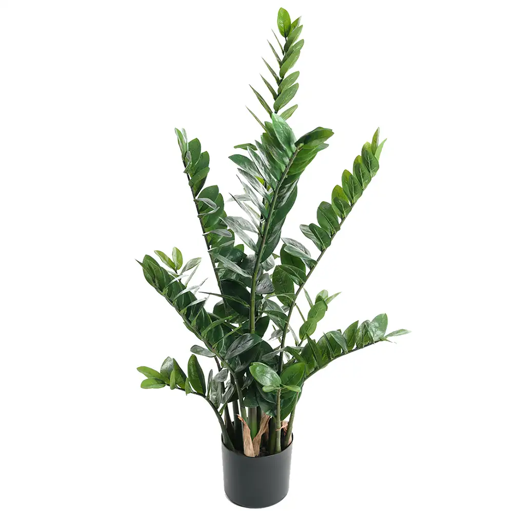 Zamifolia Potteplante 110 cm