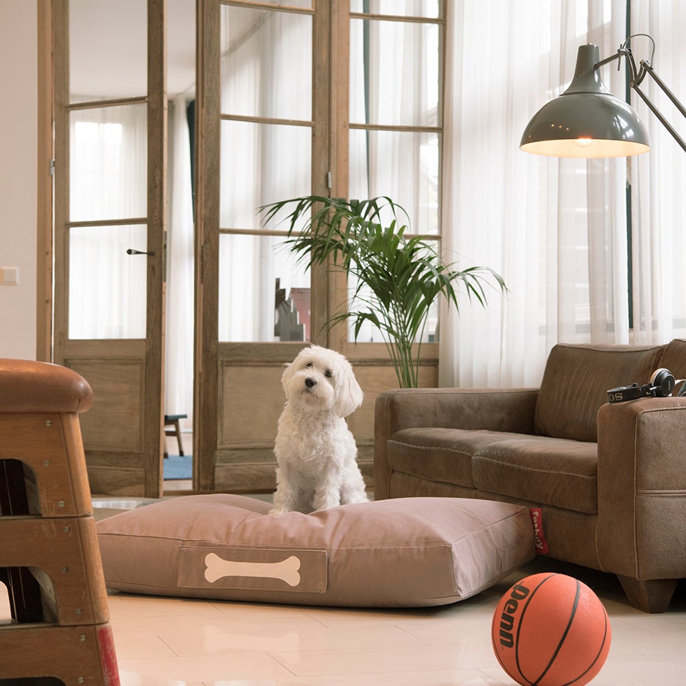 Doggielounge small stonewashed blue