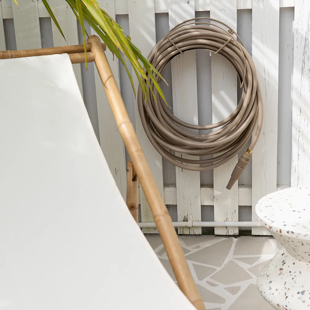 Vannslange Sahara Desert