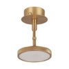 Asteria Spot Plated Brass