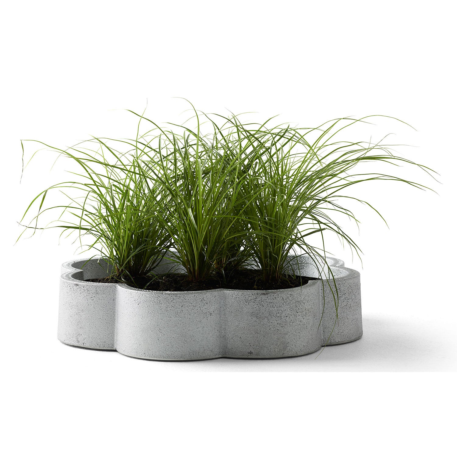 Sæltønne natur Byarums Bruk