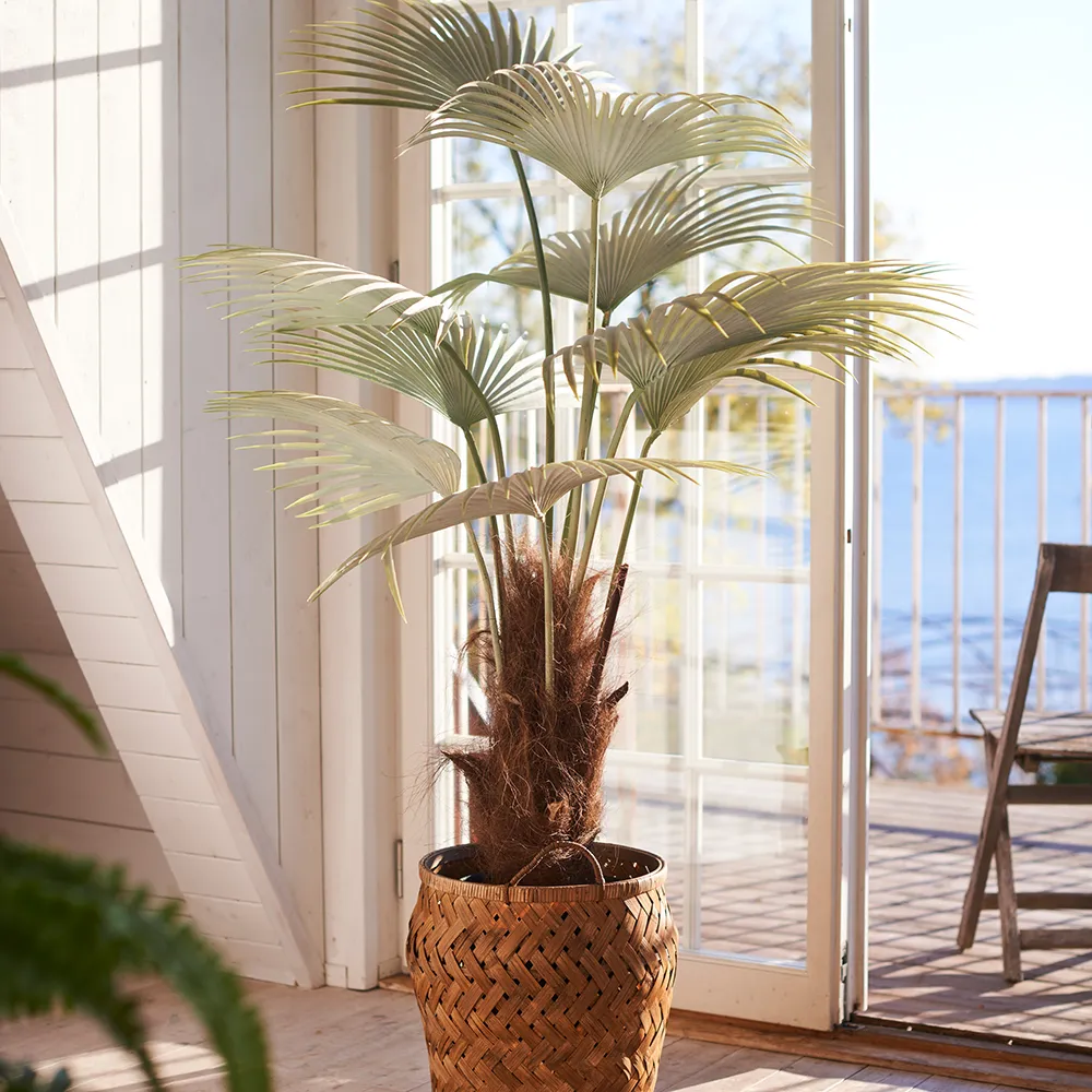 Palme 150 cm