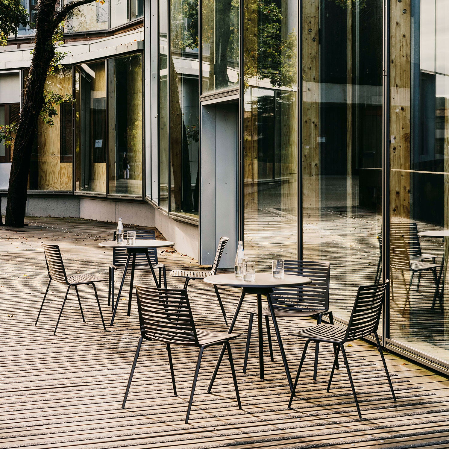 Zebra spisestol Metallic Grey