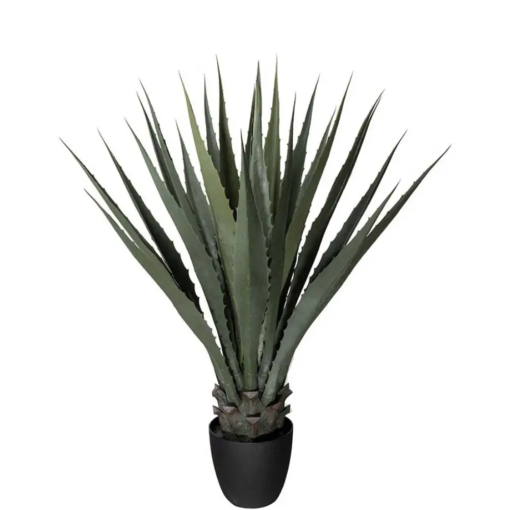  Agave grønn 100 cm